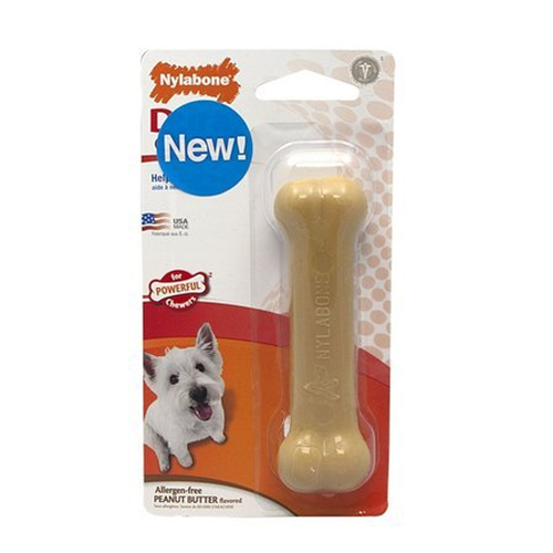Nylabone 2025 peanut butter