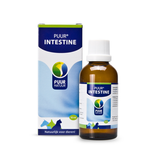Puur Intestine (ehemals Puur Darm) - 50 Ml