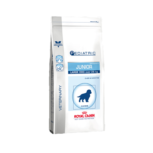 Pediatric junior large store dog