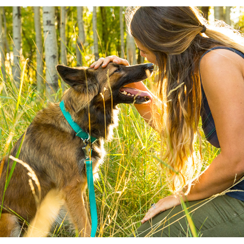 Collier Ruffwear Timberline Chien Commander Medpets.fr