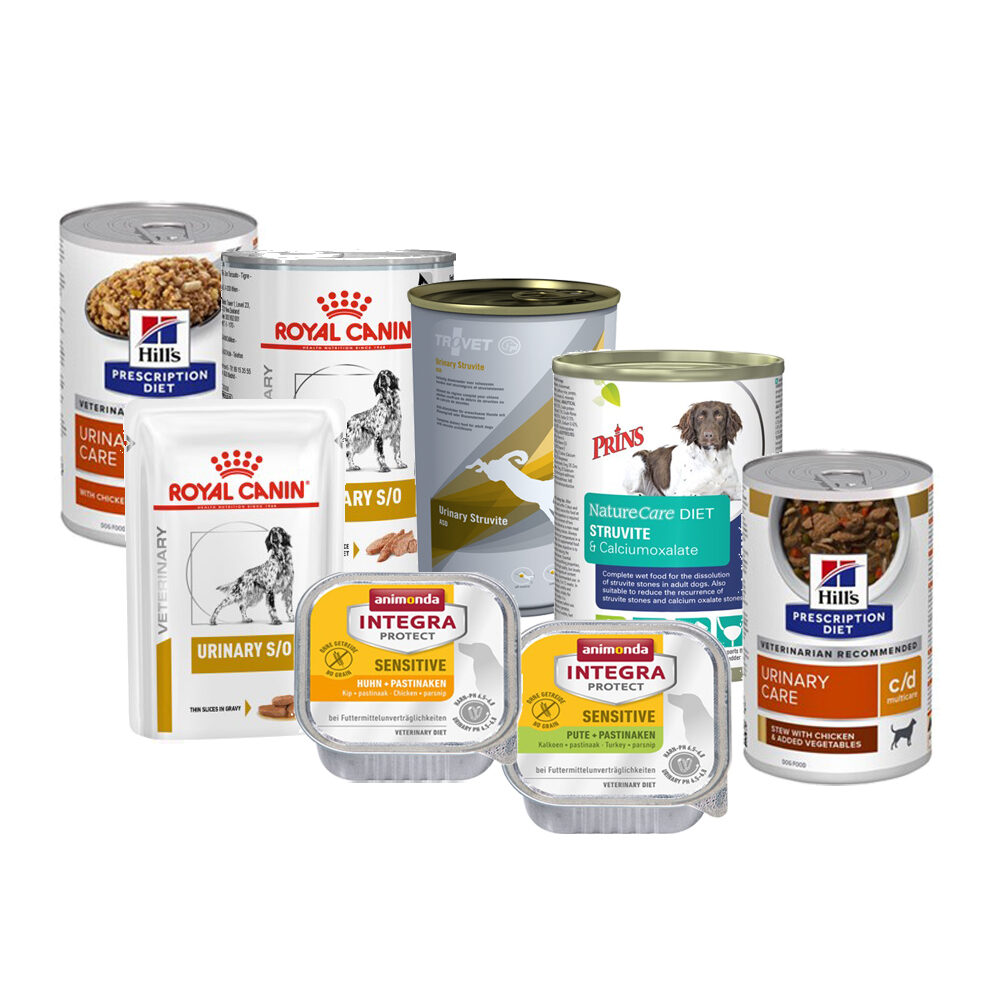 Probierpaket Blasensteine Hund