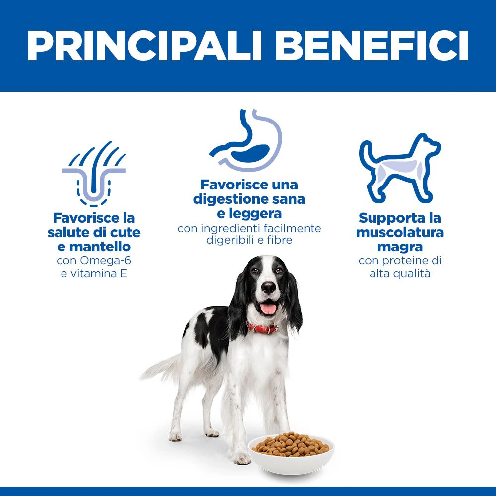Hill's Science Plan - Medium - Adult - Pollo