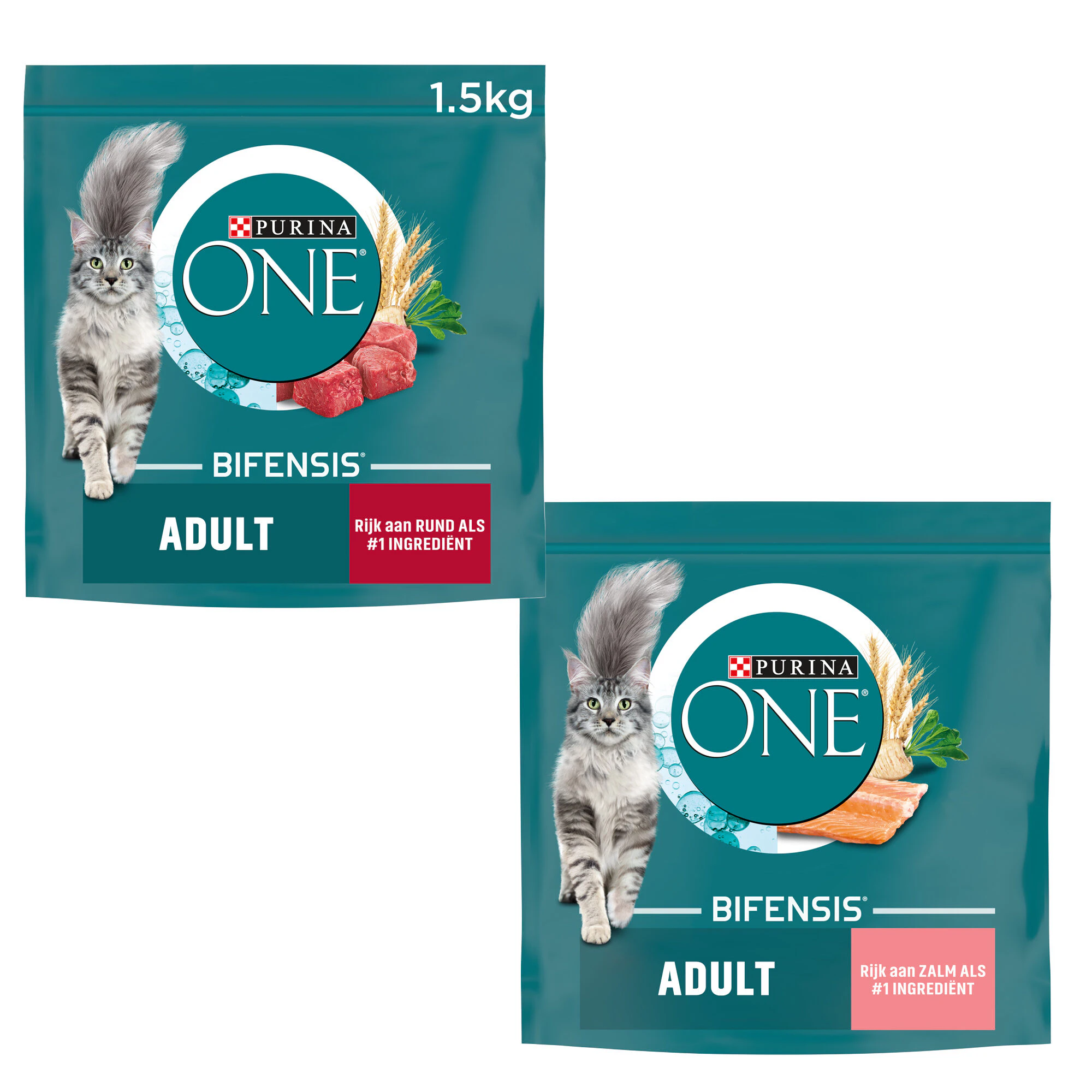 Purina ONE Adult