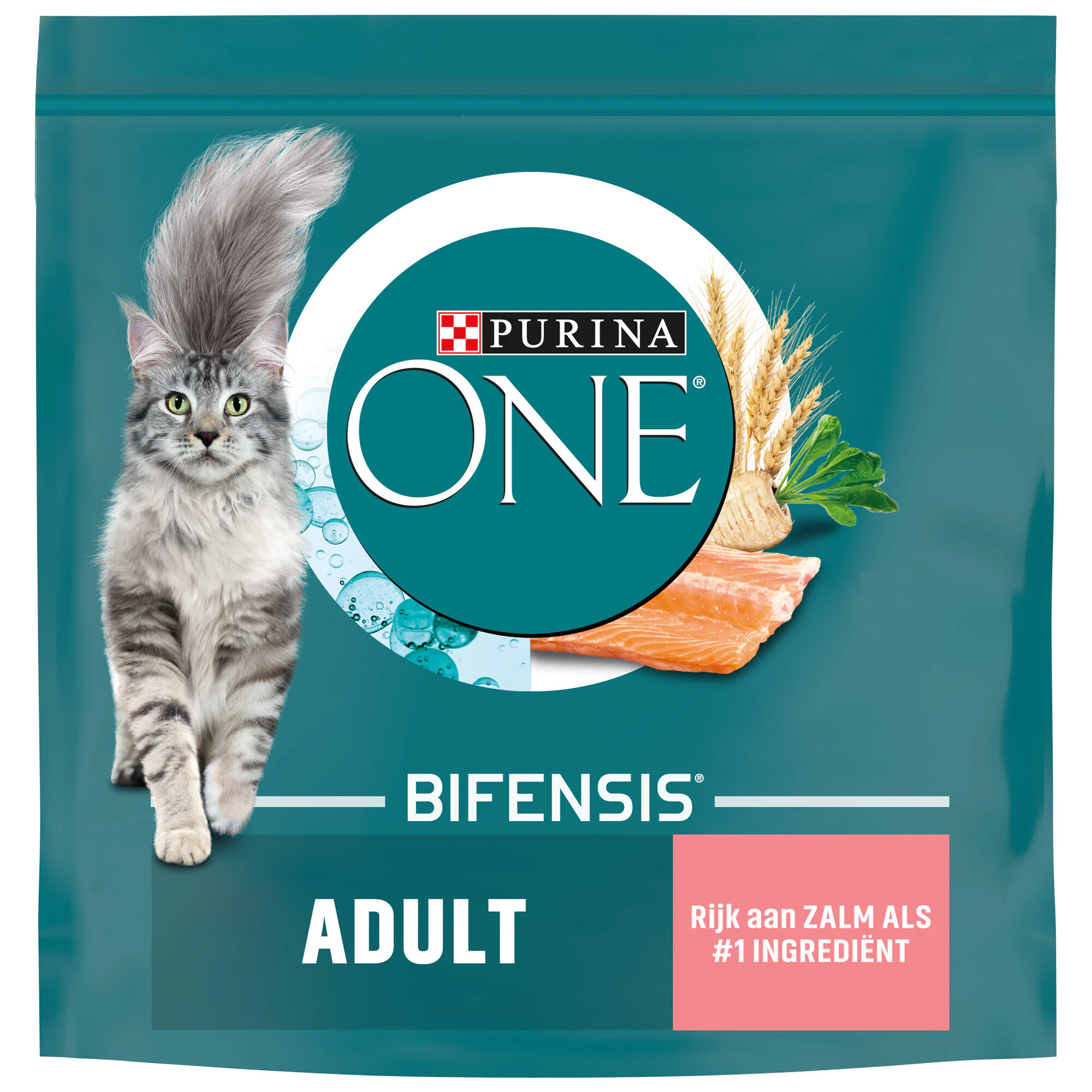 Purina ONE Adult