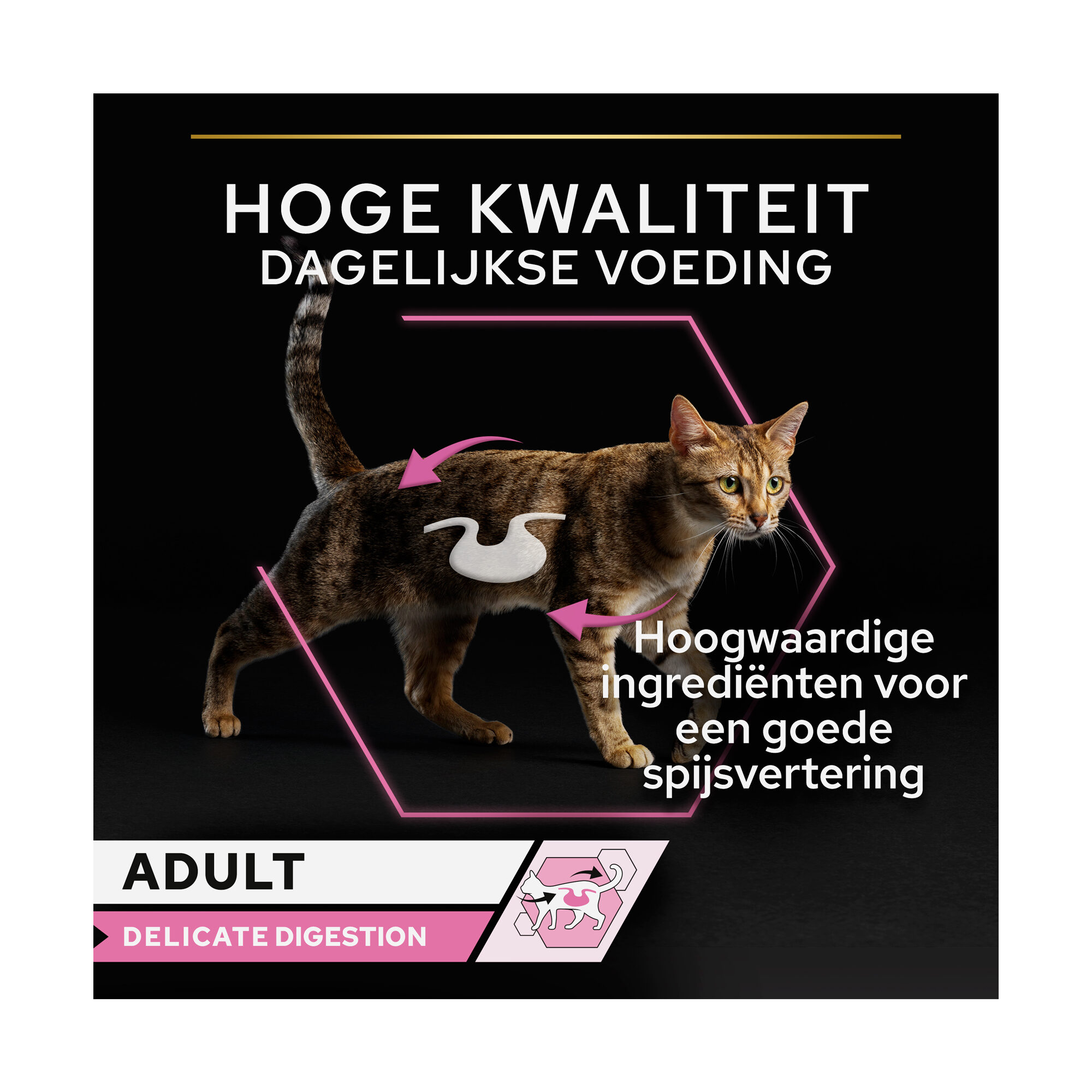 Pro plan cat delicate outlet