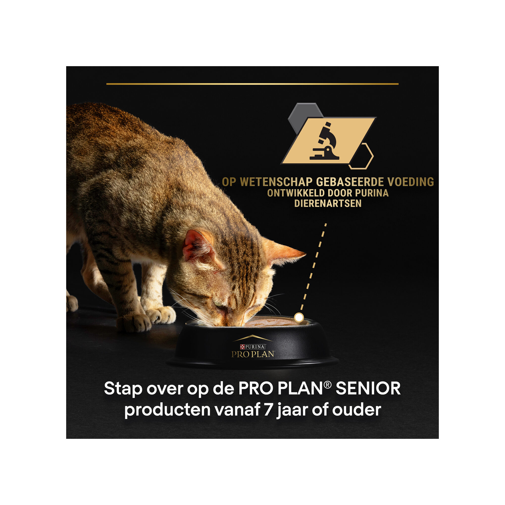 Purina delicate deals cat food