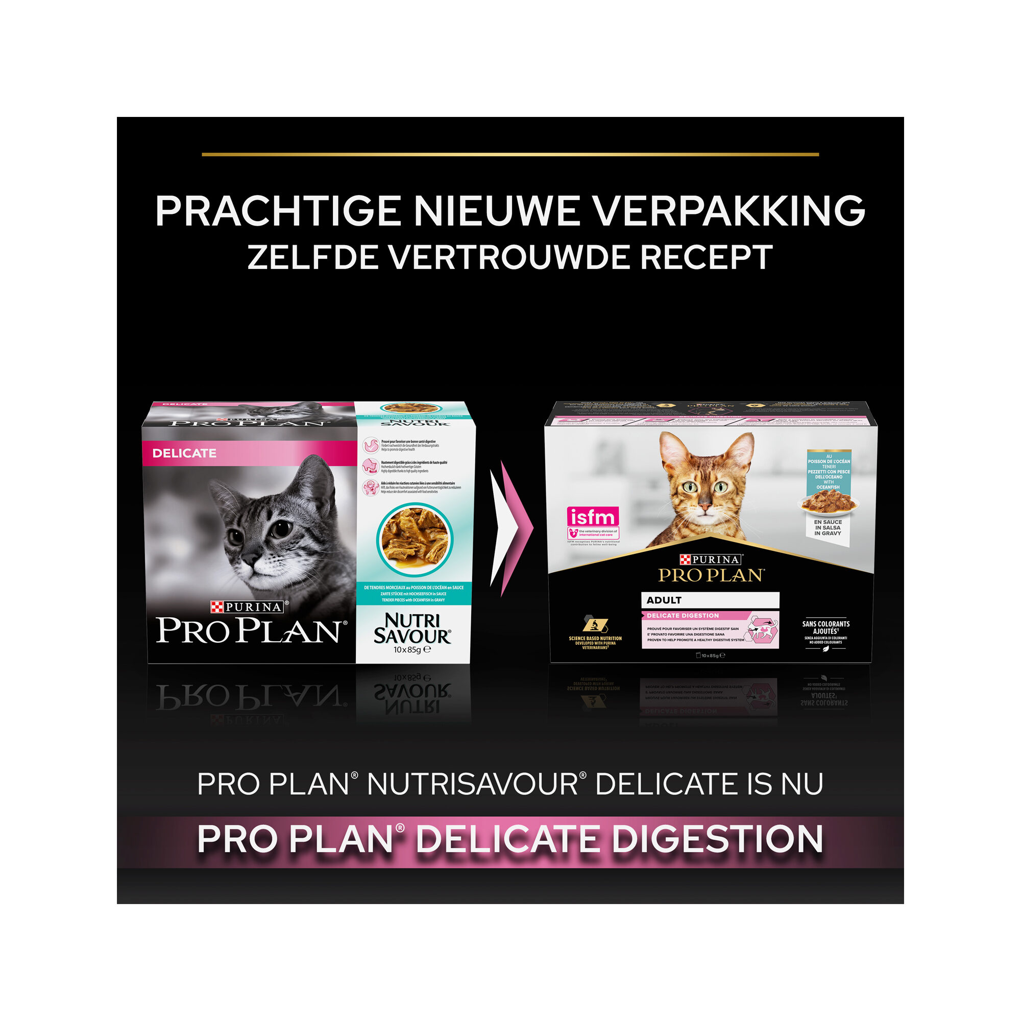 Purina delicate cat food online