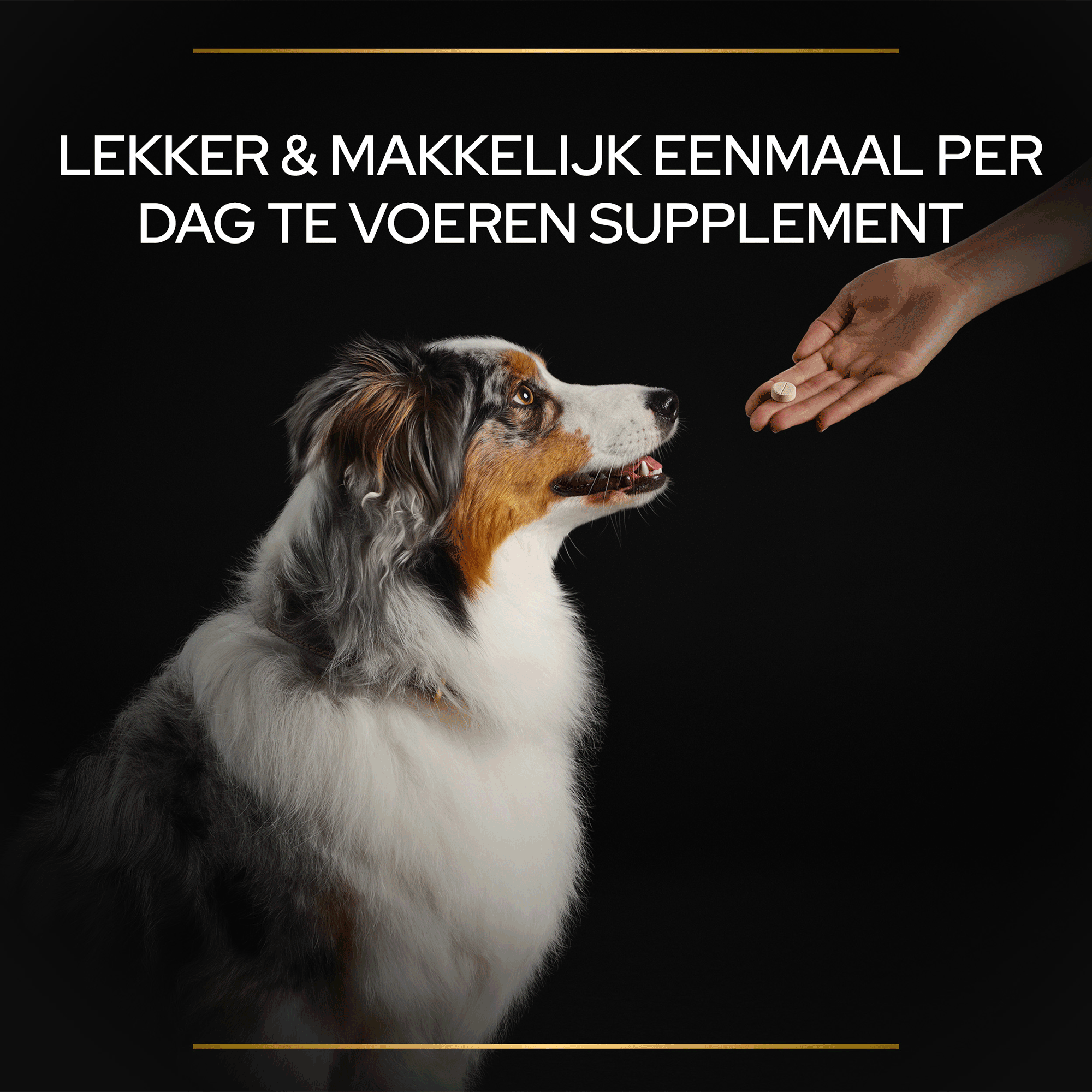 Purina pro plan natural defence on sale