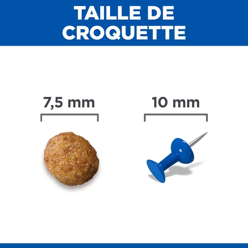 Hill's Science Plan Small & Mini - Adult - Agneau et Riz