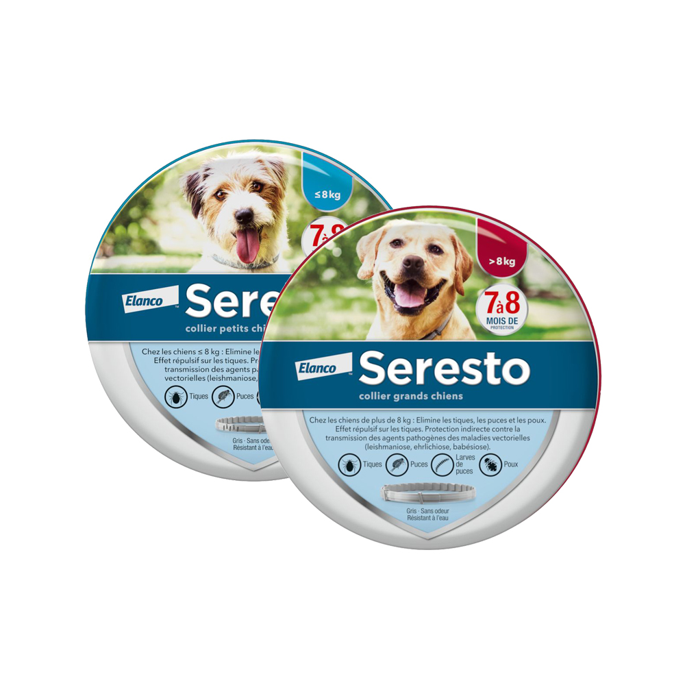 Seresto Hond