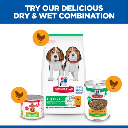 Hill's Science Plan - Medium - Puppy - Chicken - Tin