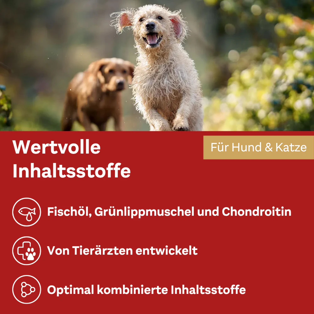 Doppelherz Gelenk Öl Omega-3 für Katzen und Hunde