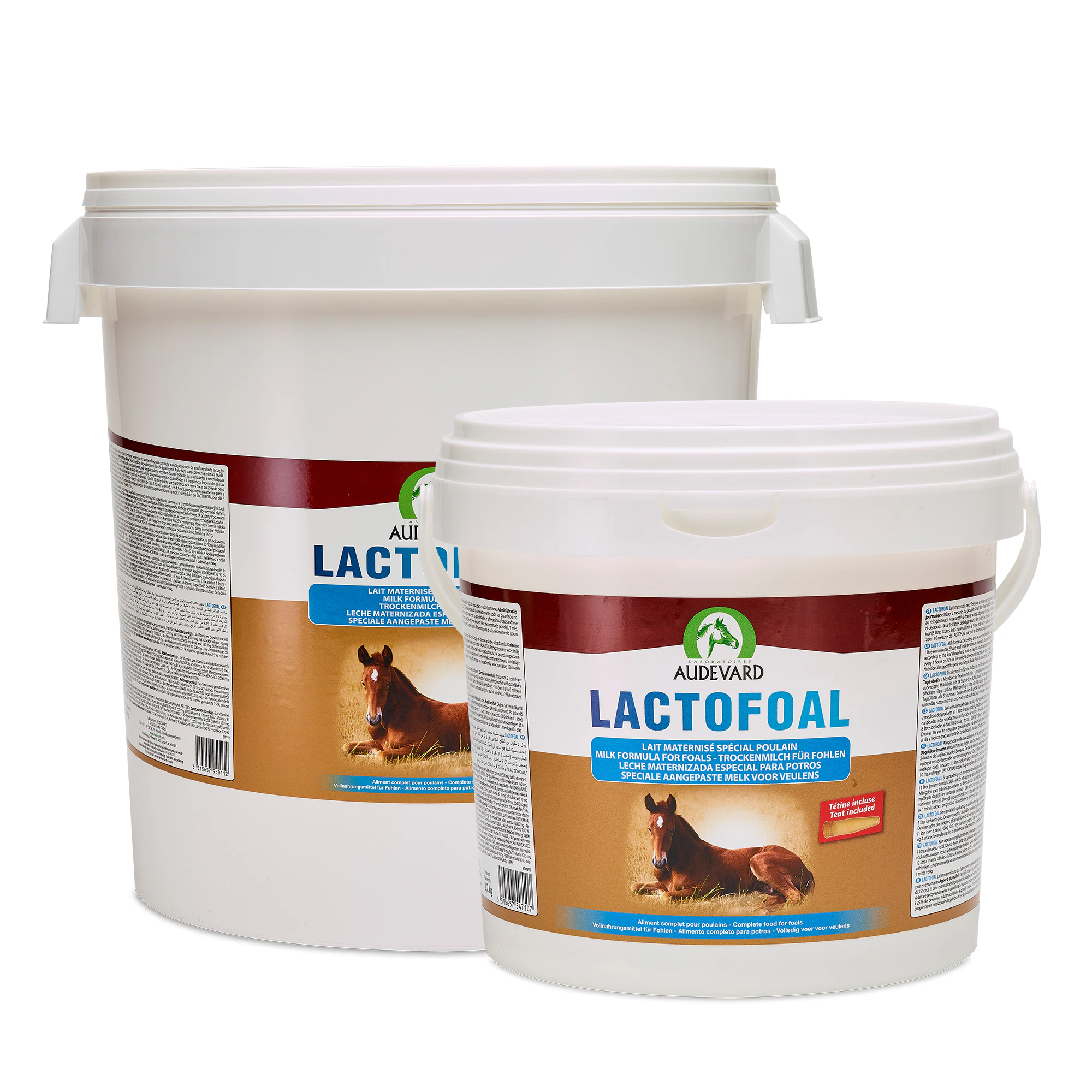 Audevard Lactofoal