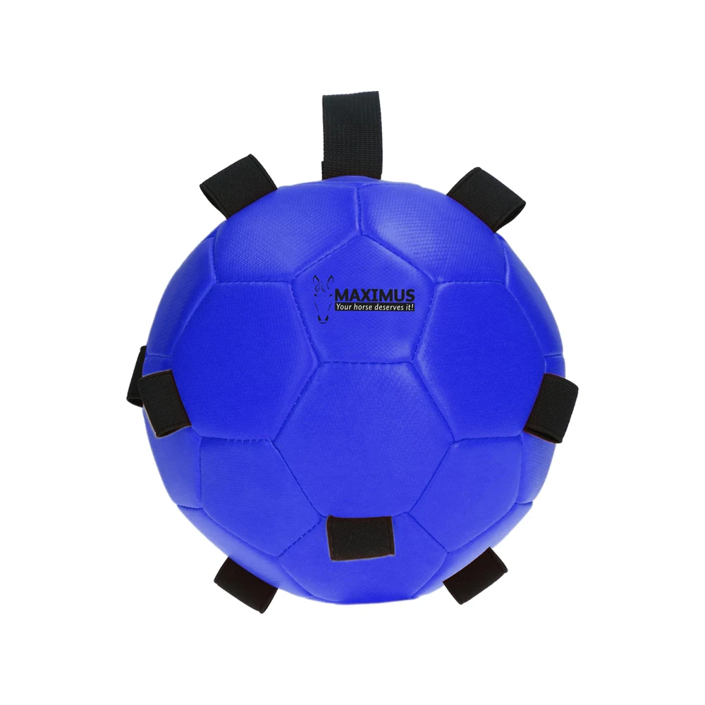 Excellent Horse Fun Play Ball