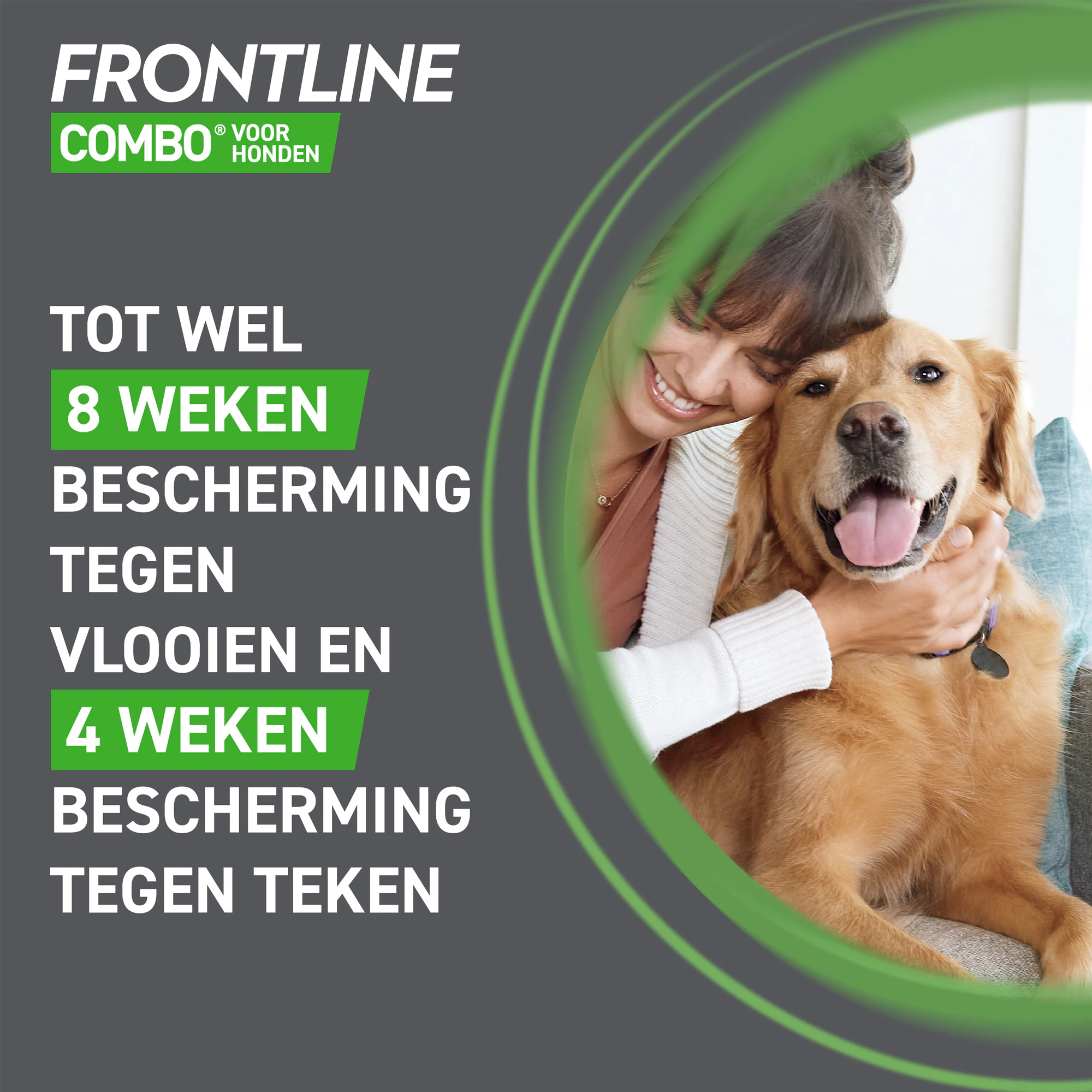 Frontline Combo Spot On Hond