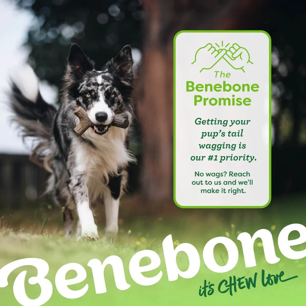 Benebone Stick