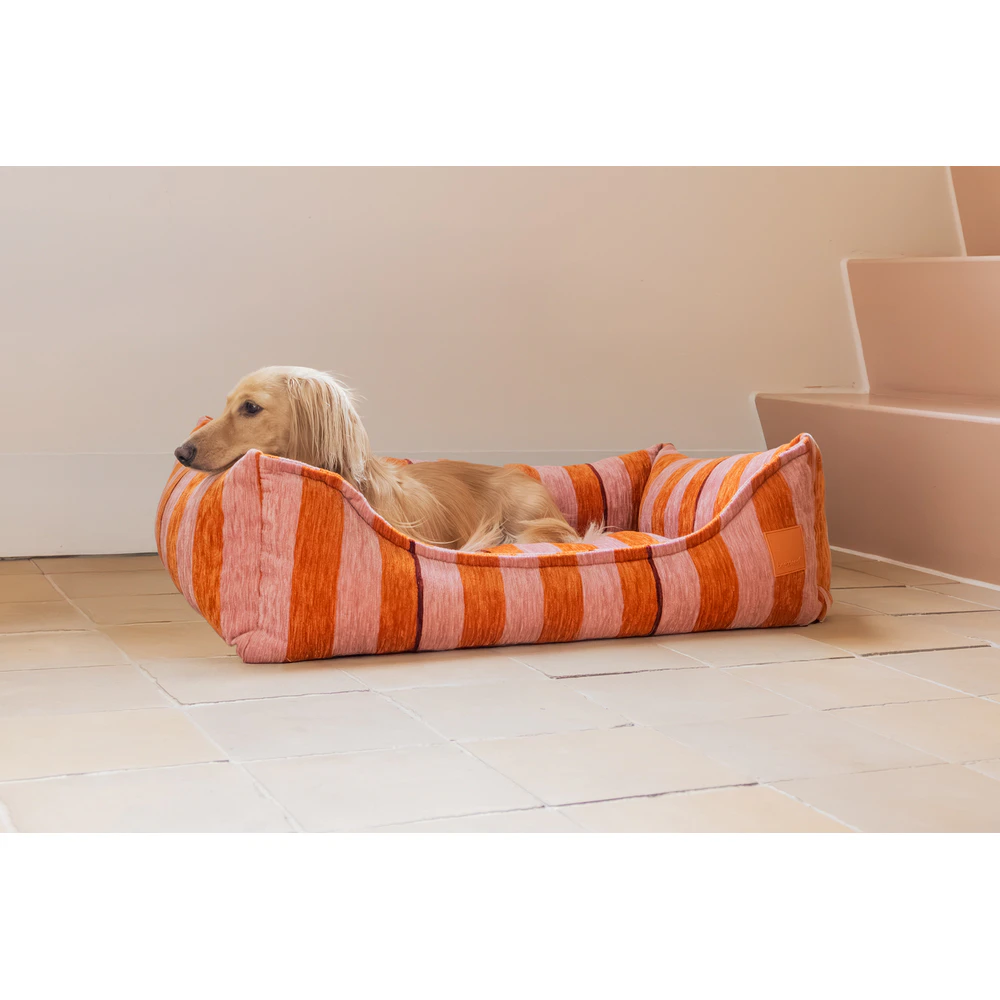 Beeztees Next Gen Stripez Orthopaedic Dog Bed