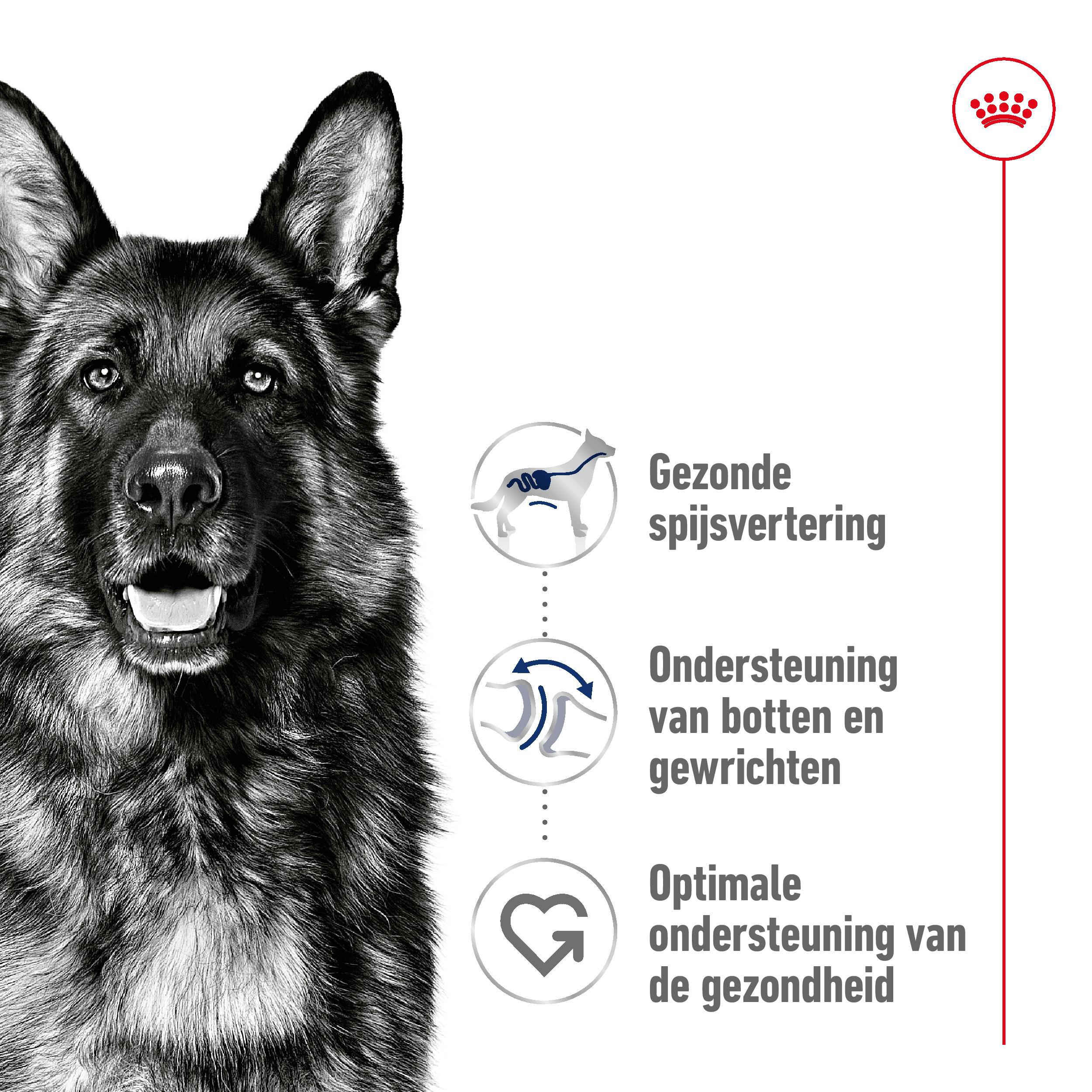 Royal Canin Maxi Adult - Hondenvoer