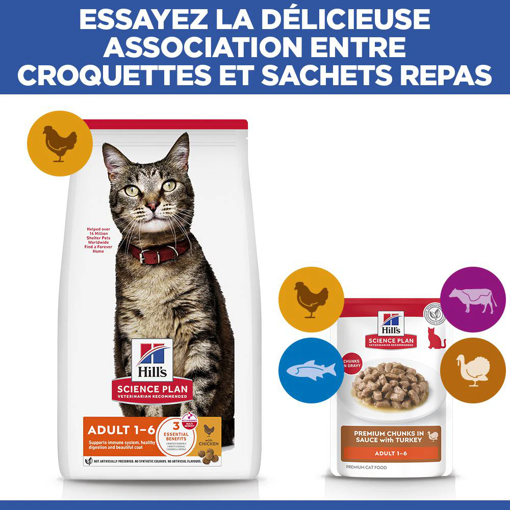 Hill's Science Plan Adult - Dinde - Sachet repas