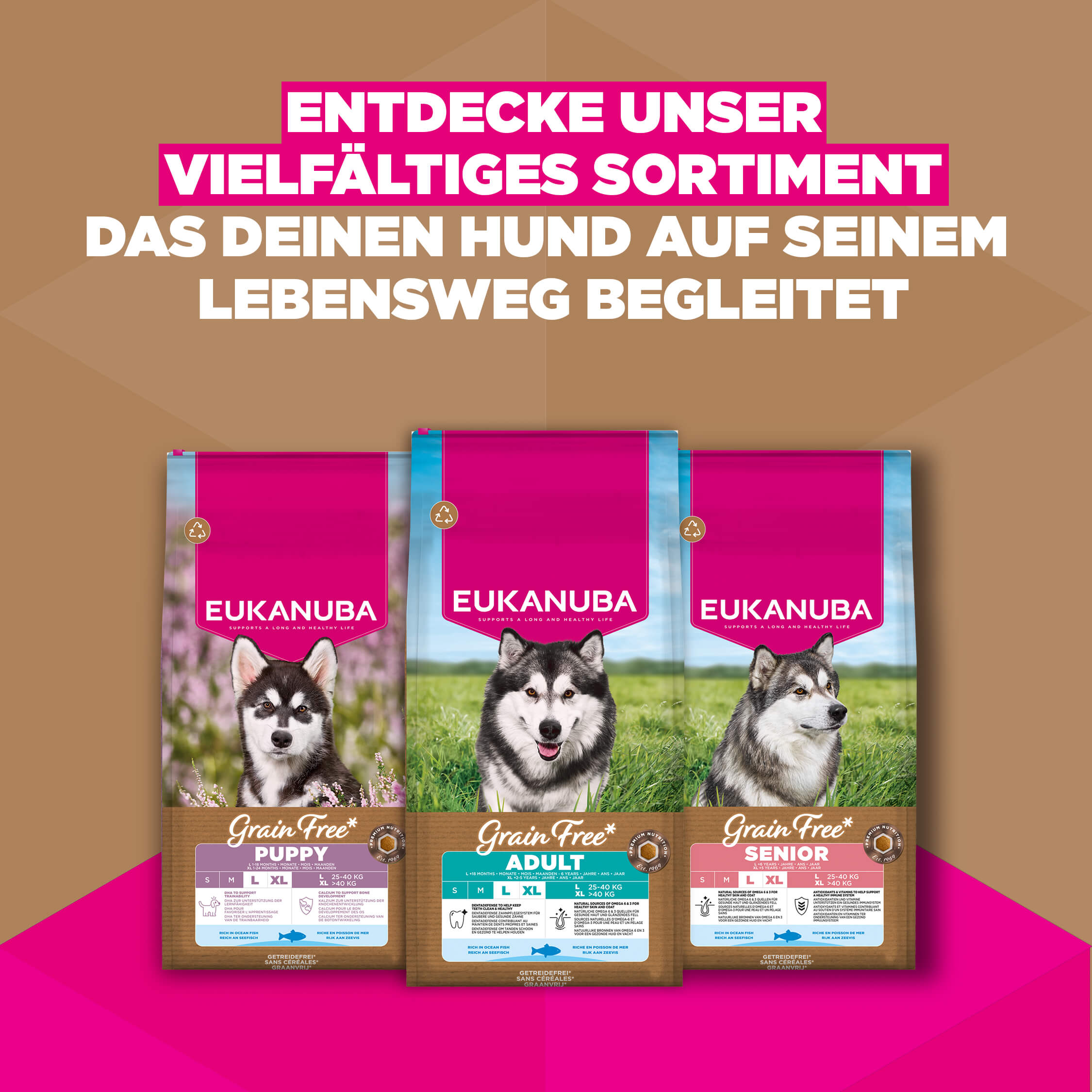 Eukanuba Dog Junior Large Grainfree Hundefutter