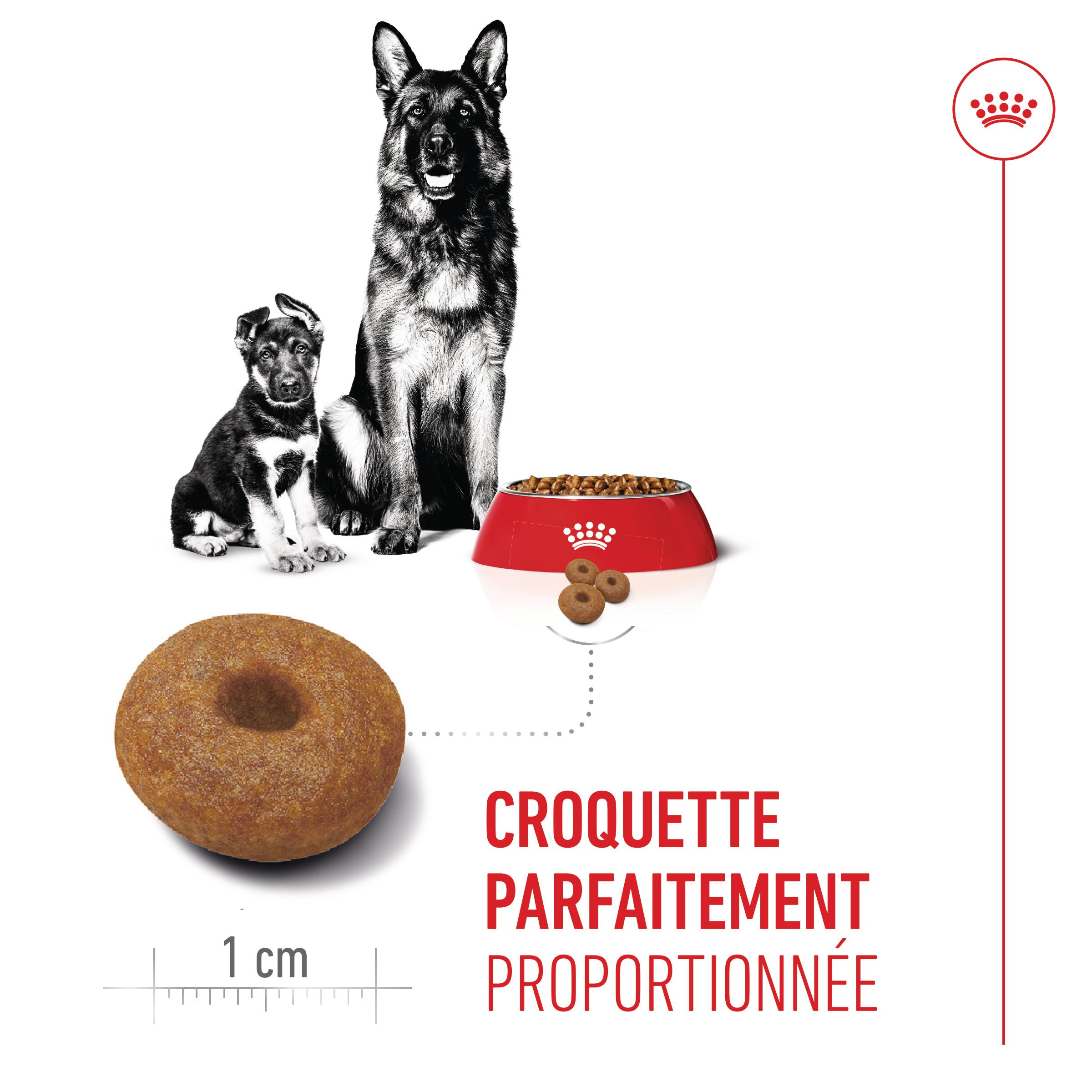 Royal Canin Maxi Starter Mother & Babydog