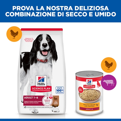 Hill's Science Plan Medium - Adult - Agnello e Riso