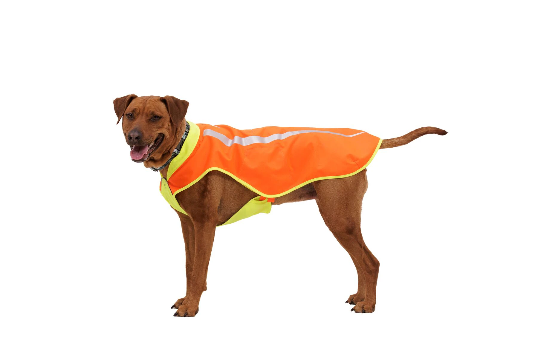 Ruffwear Lumenglow High-Vis Vest