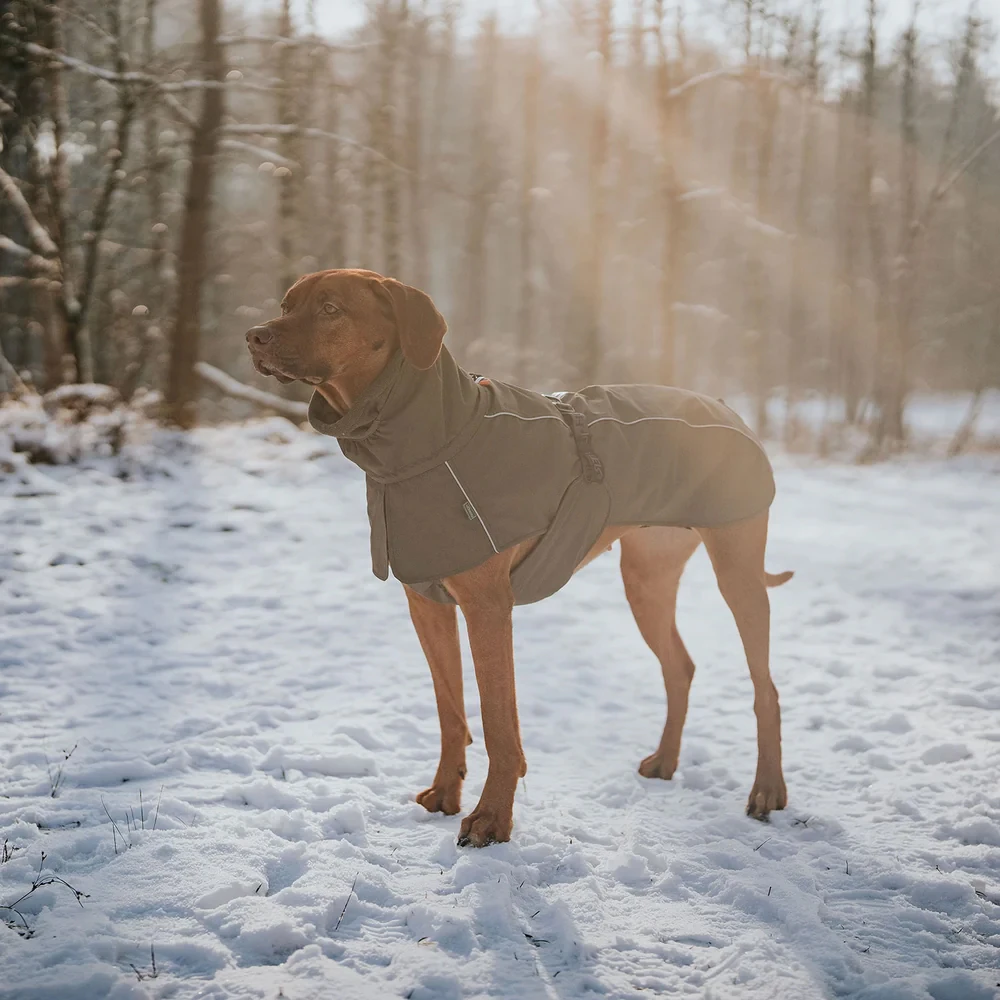 Hunter Hundejakke Nordby - Oliven - 42,5