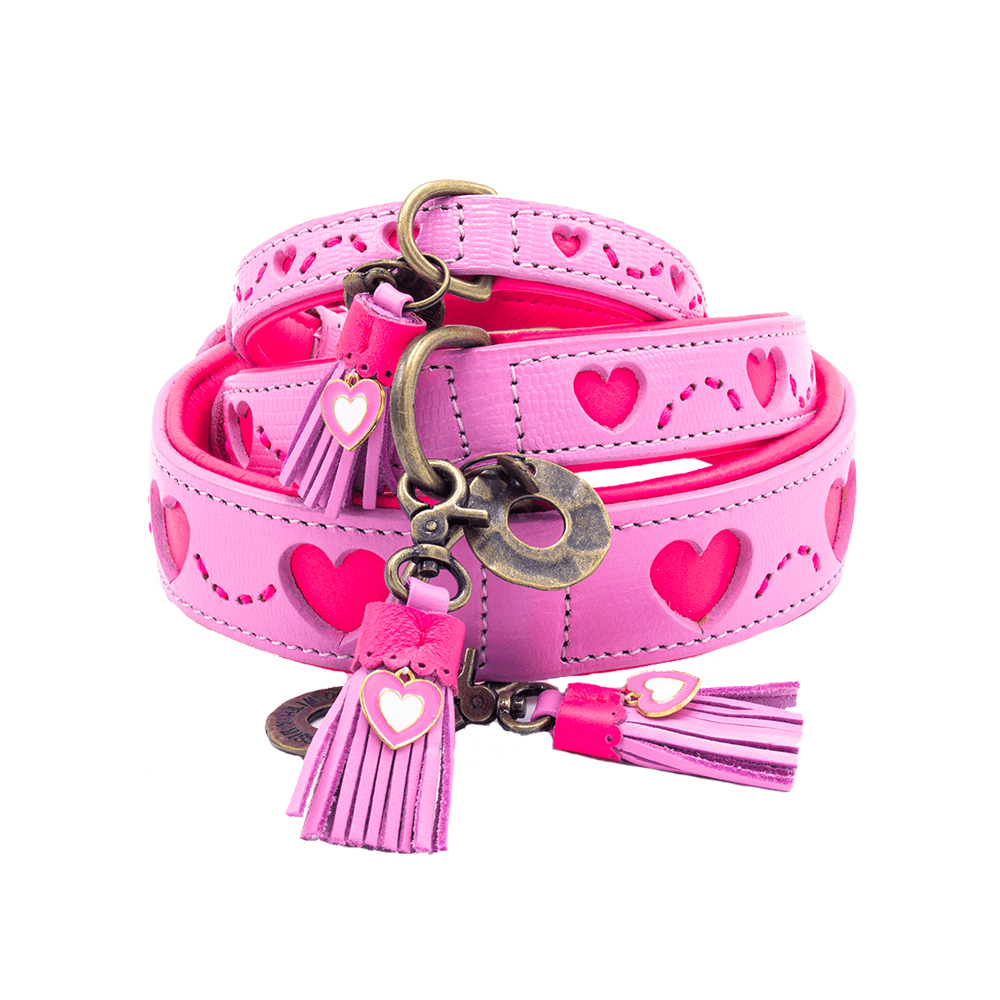 welches trockenfutter fr hunde ist das beste Dr. Clauder Best Choice Adult Large Breed
