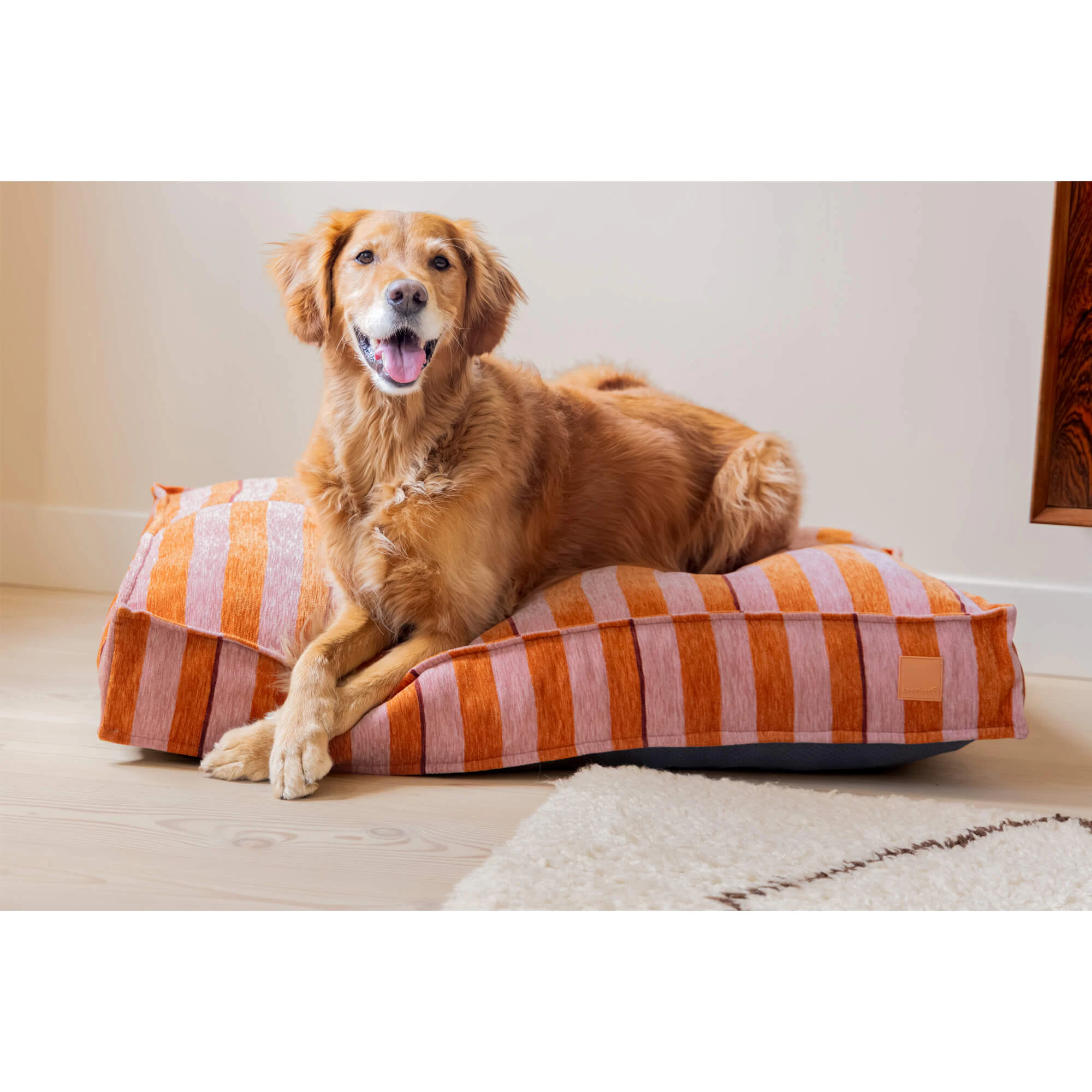 Beeztees Next Gen Cuscino Ortopedico per Cani