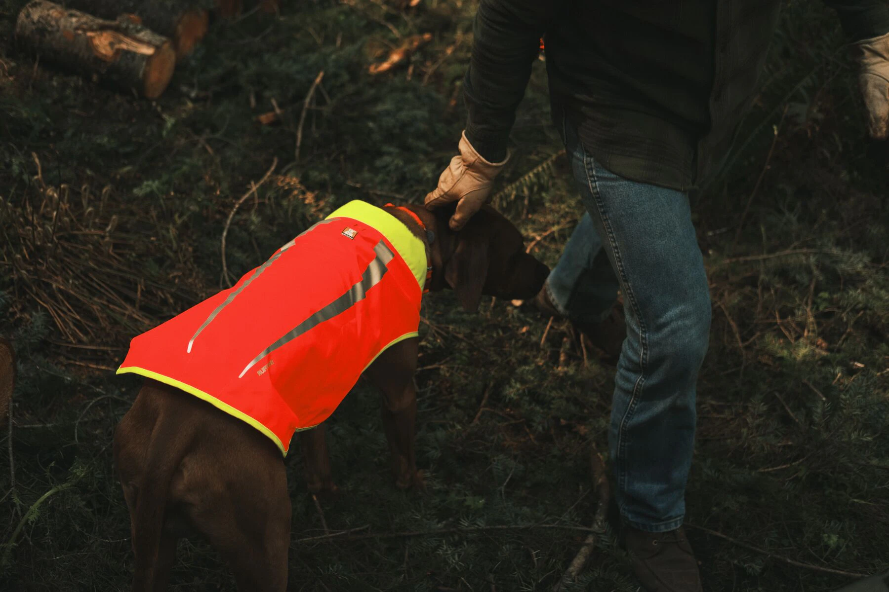 Ruffwear Lumenglow High-Vis Vest