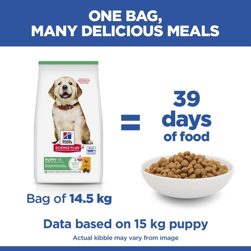 Hill's Science Plan - Large Breed - Puppy - Chicken