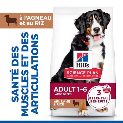Hill's Science Plan Adult Large - Agneau