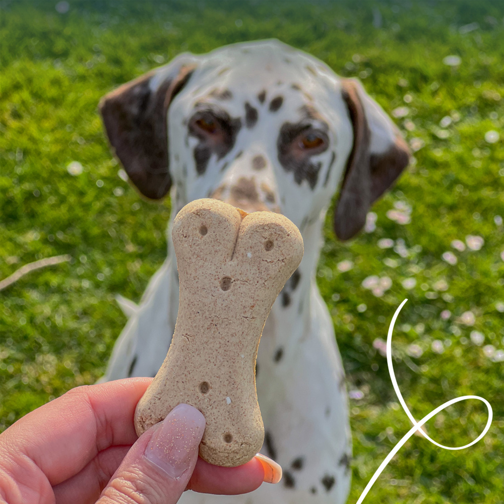 Yarrah Vegetarische Hundekekse Bio