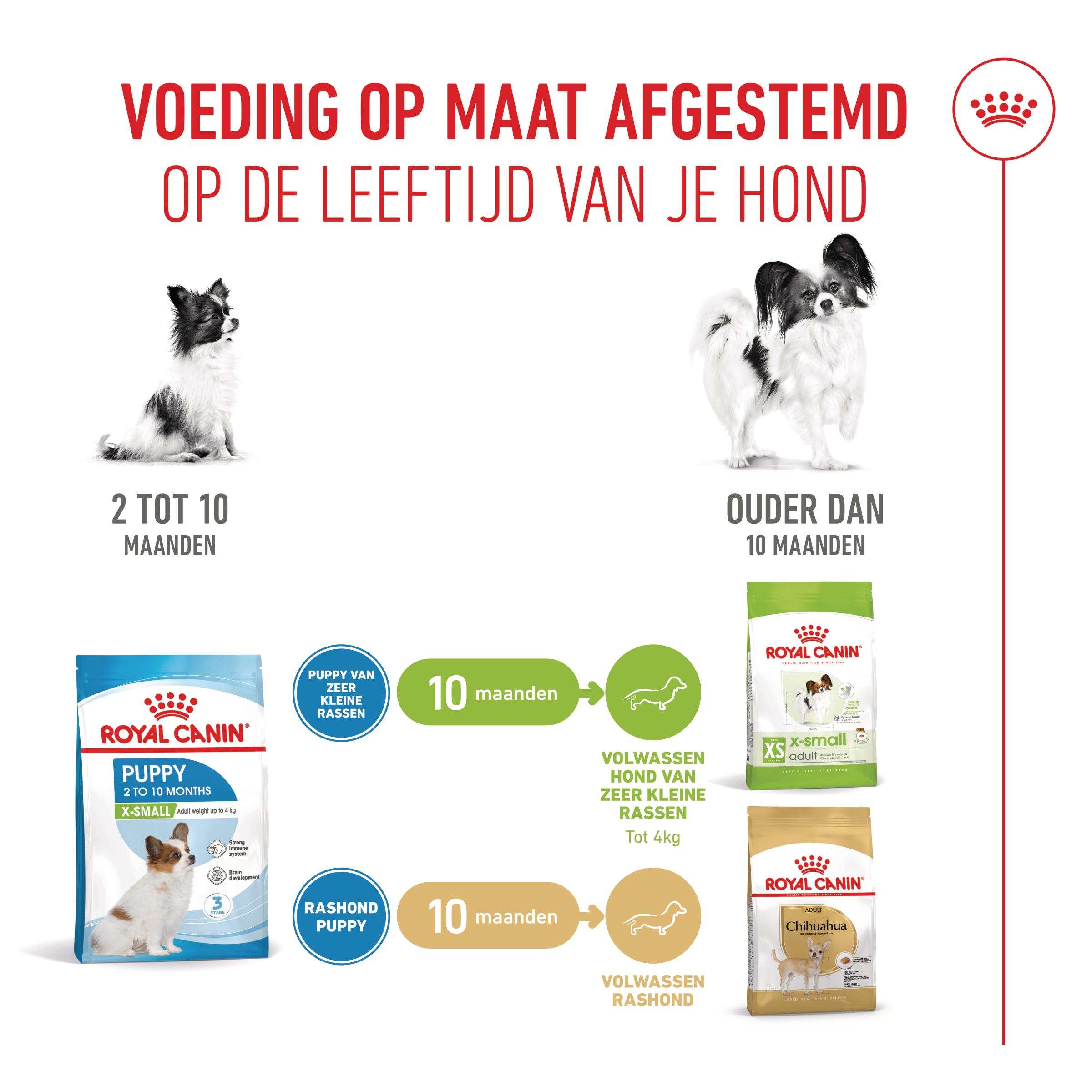 Royal Canin X-Small Puppy - Hondenvoer