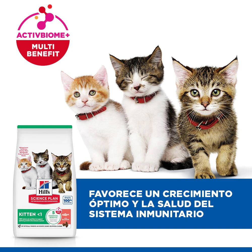 Hill's Science Plan - Gatito - Salmón