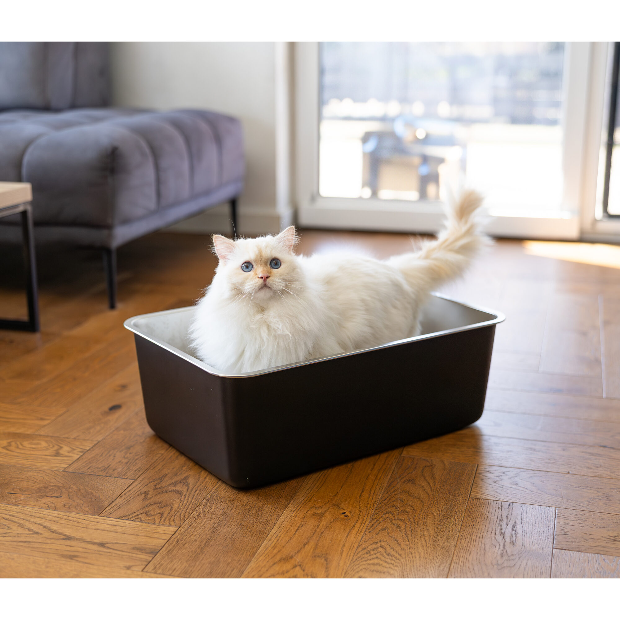 Quapas! Stainless Steel Litter Tray