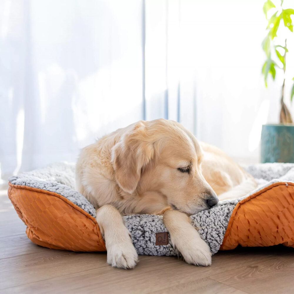 Quapas! Self-Warming Dog Bed