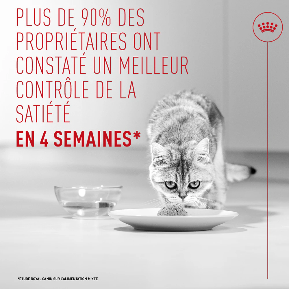 Royal Canin Appetite Control Care AirLift Mousse - Nourriture pour chat
