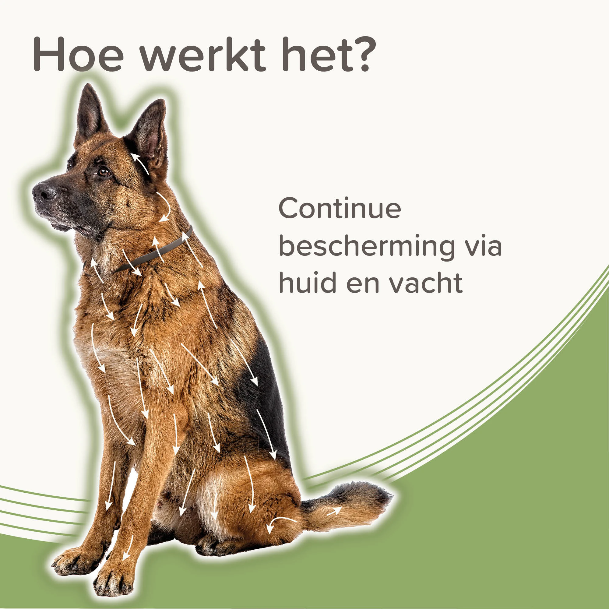 Beaphar Medicinale Halsband Hond