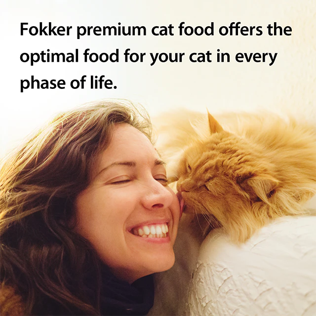 Fokker Cat Sensi-Fit