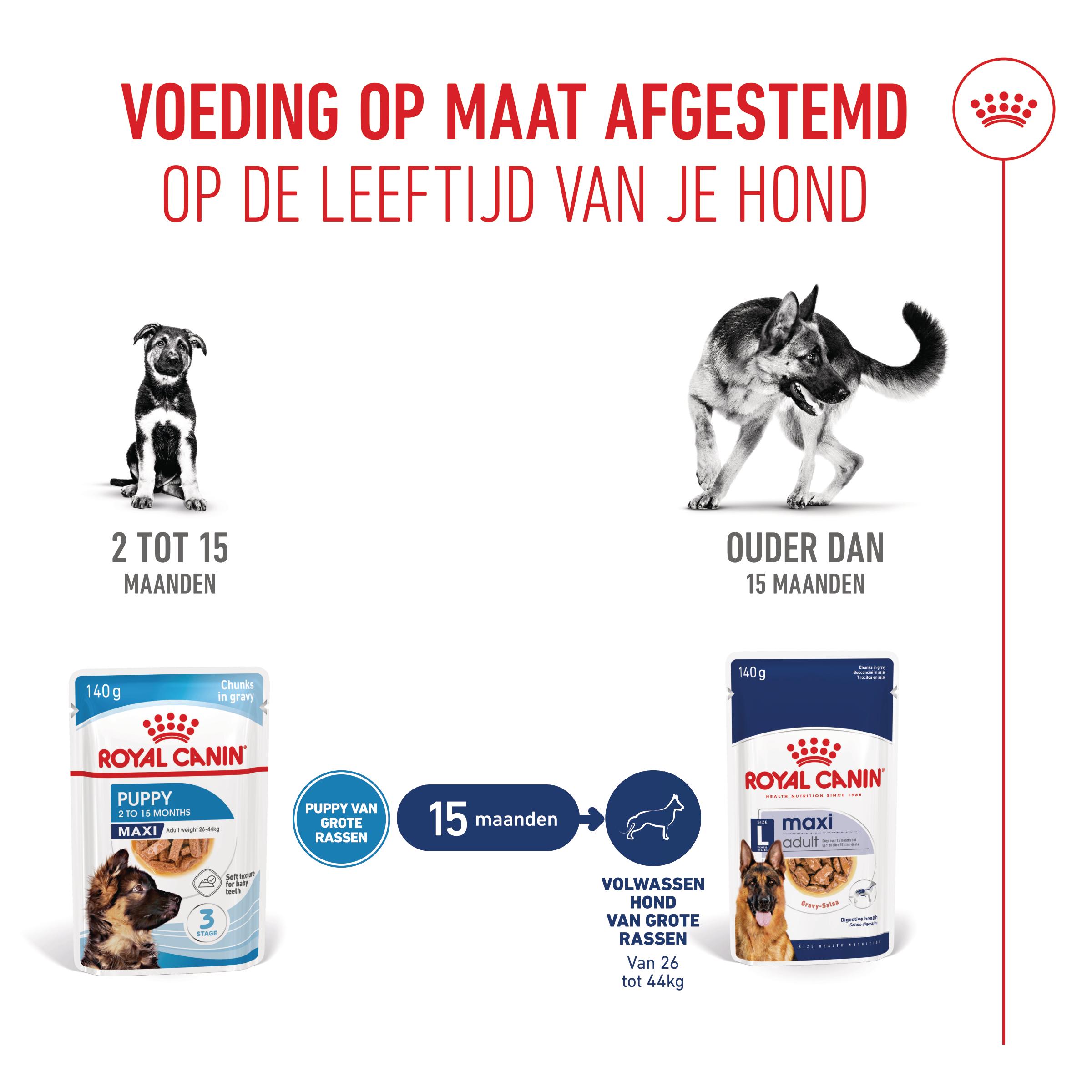 Royal Canin Maxi Puppy Natvoer in Gravy 10x140g Royal Canin Size Nutrition