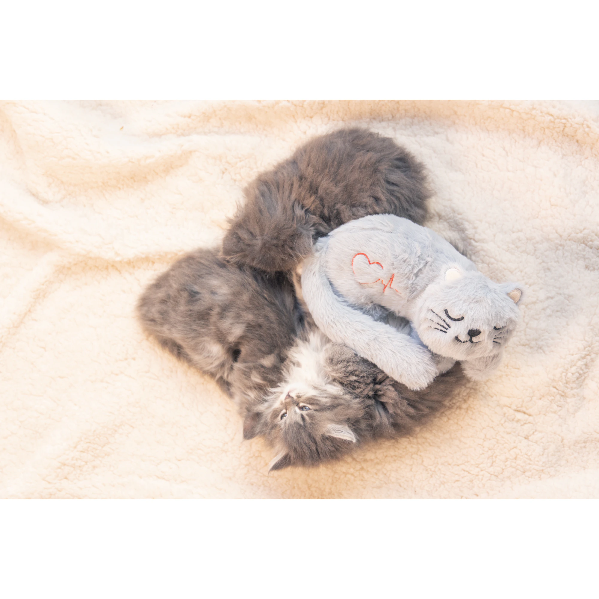 Beeztees Kitten Heartbeat Peluche