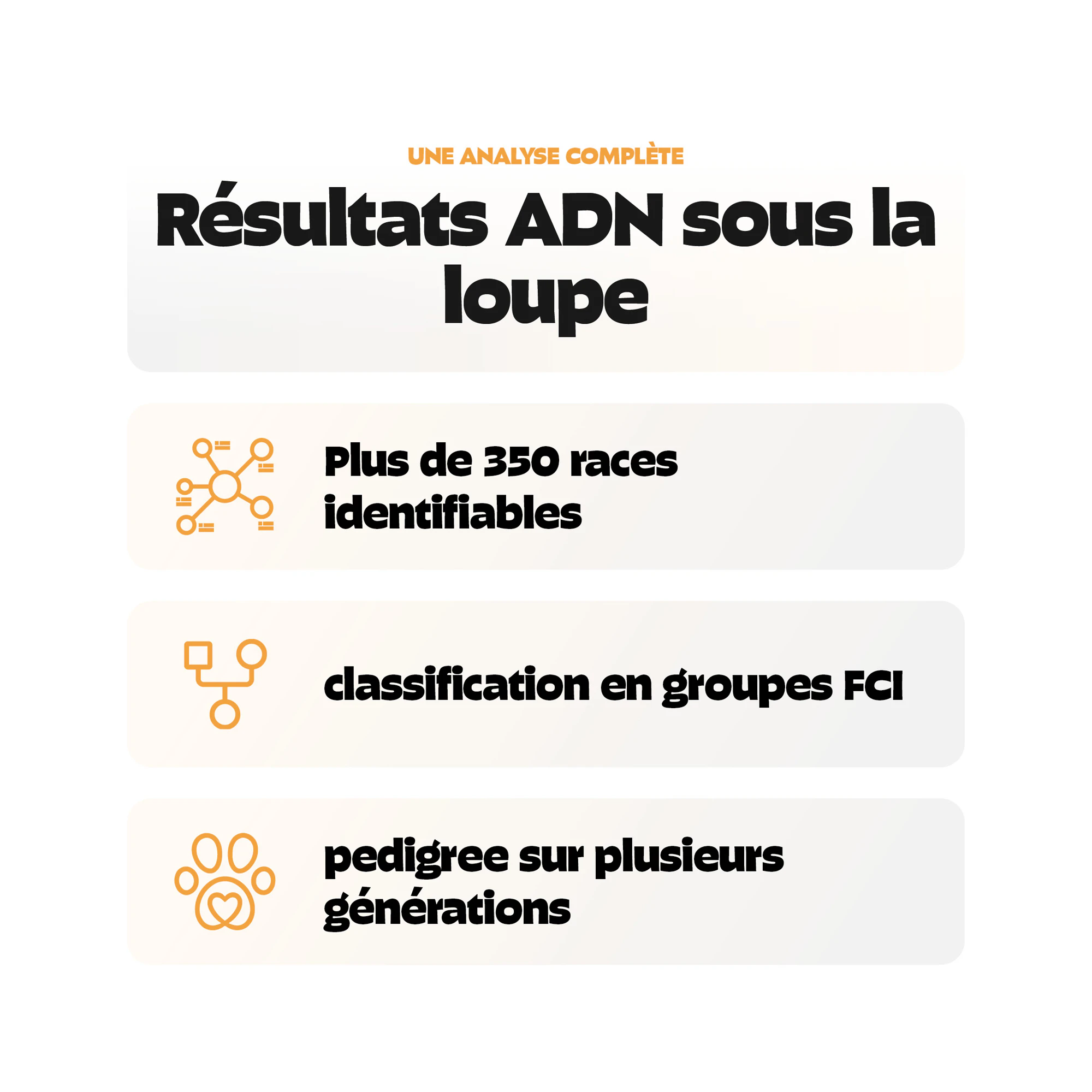 Pezz DNA Test Rasse Chien