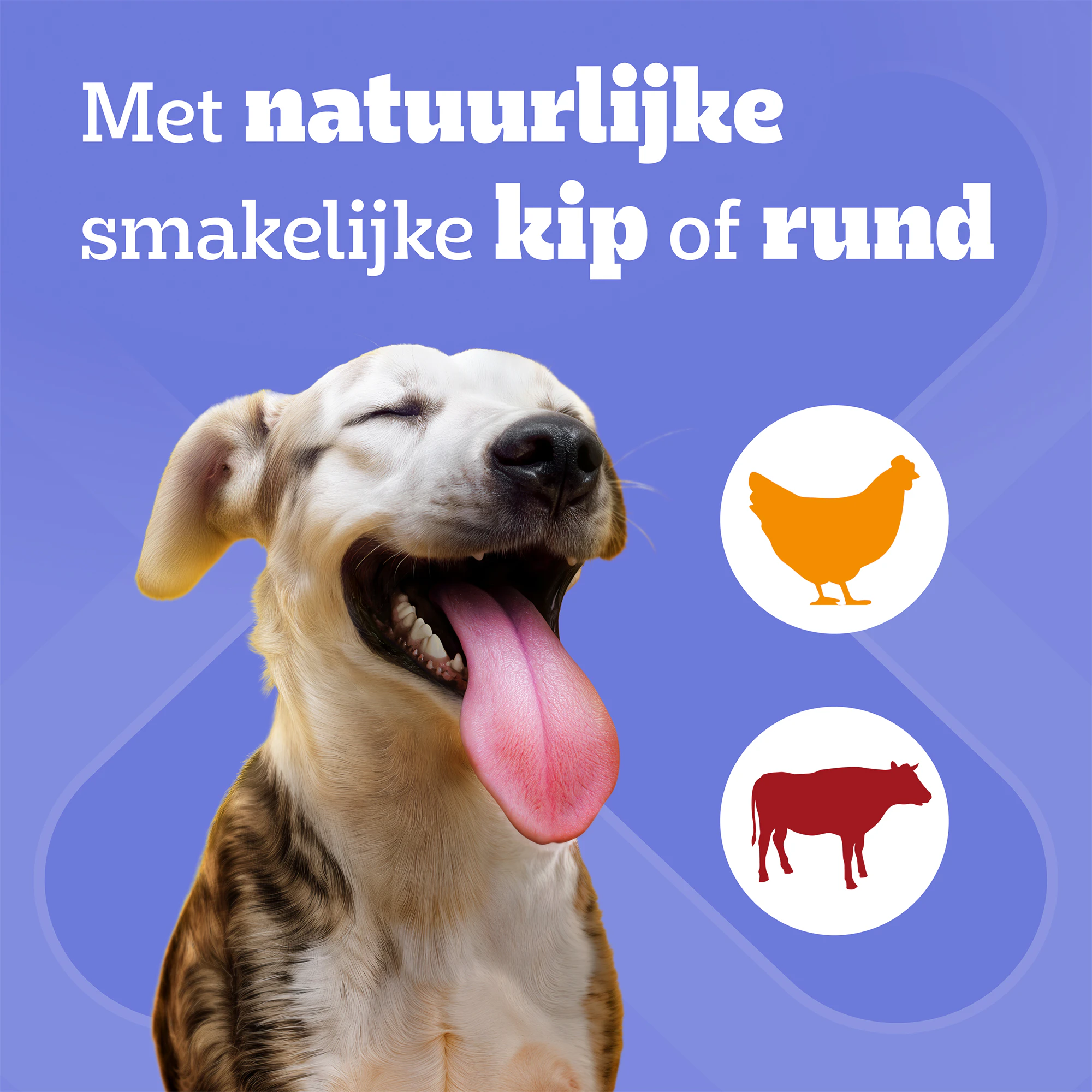 Pedigree DentaStix - Maxi Multipack