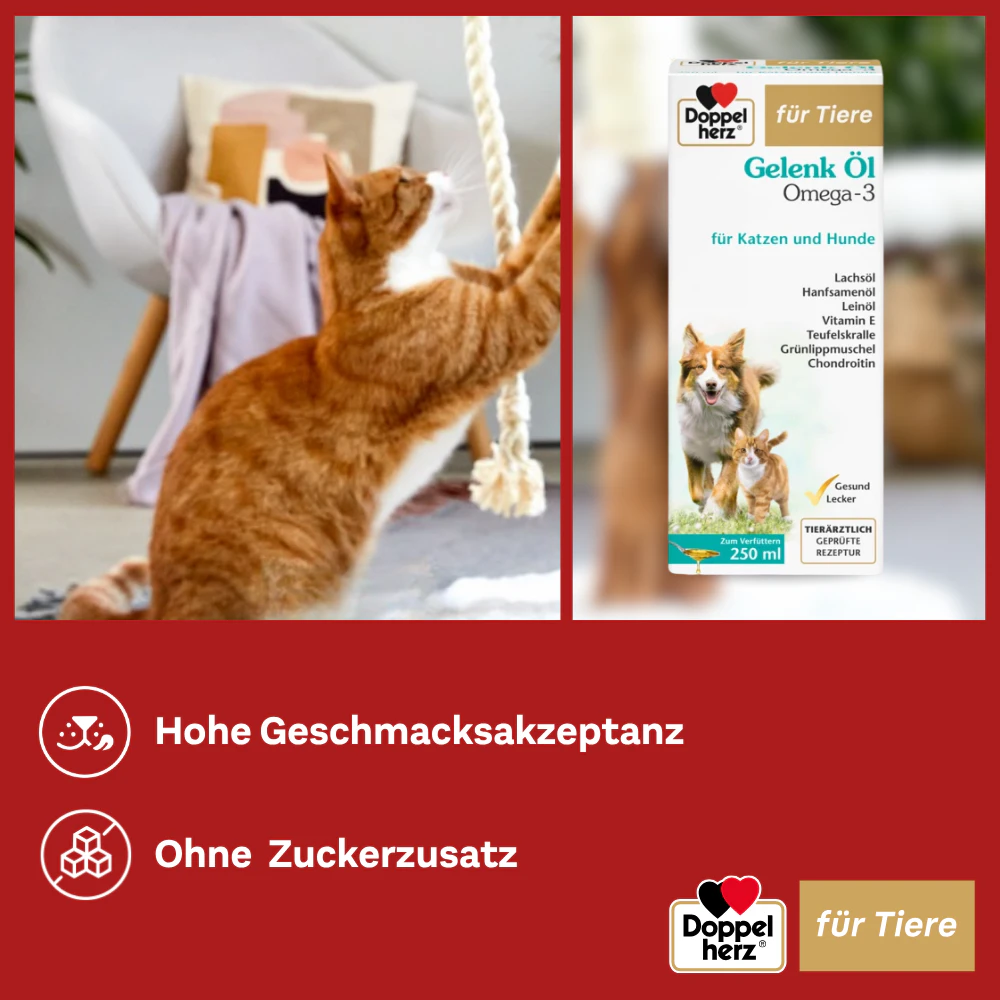 Doppelherz Gelenk Öl Omega-3 für Katzen und Hunde