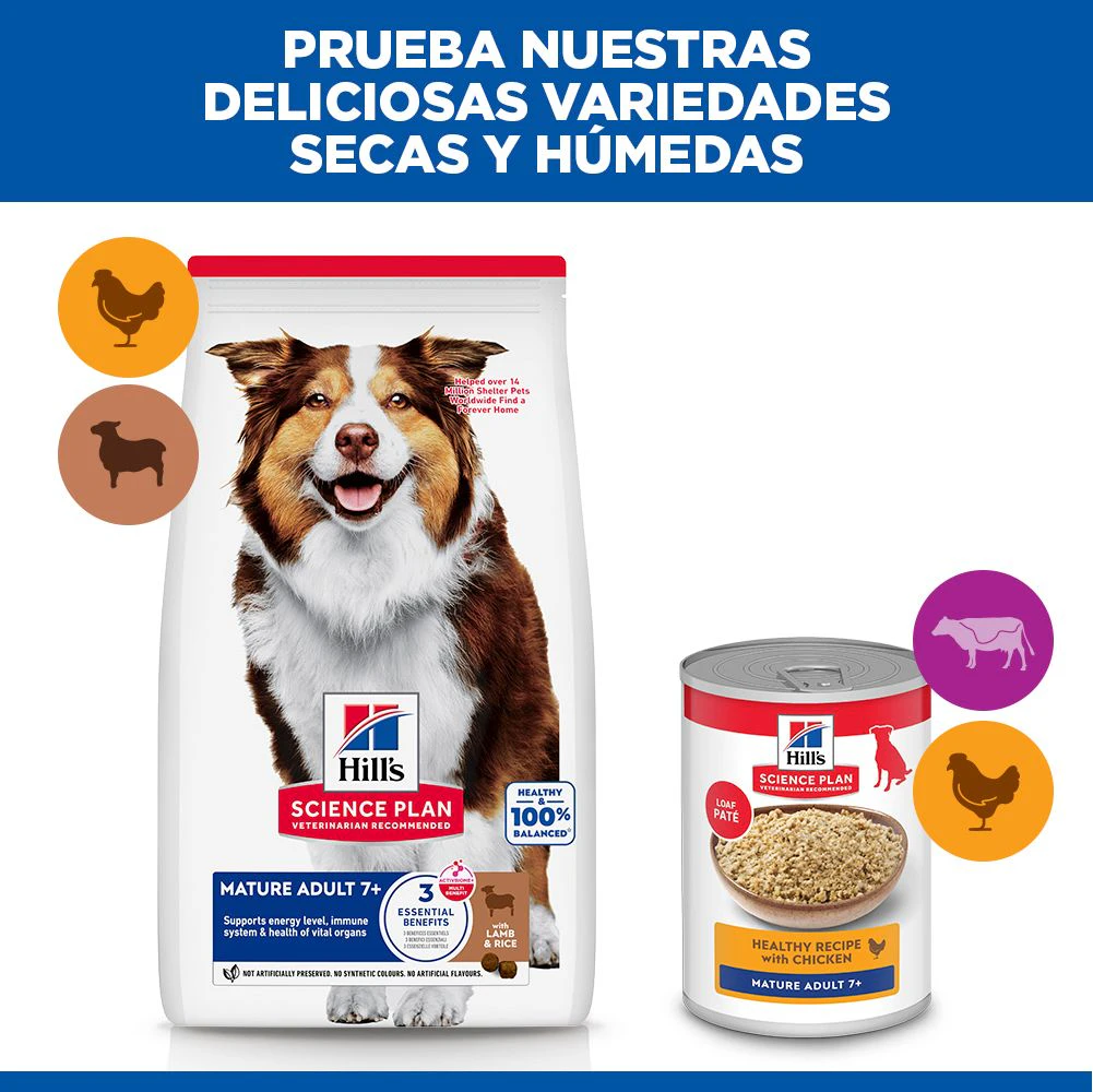 Hill's Science Plan - Medium - Mature Adult 7+ - Cordero y Arroz