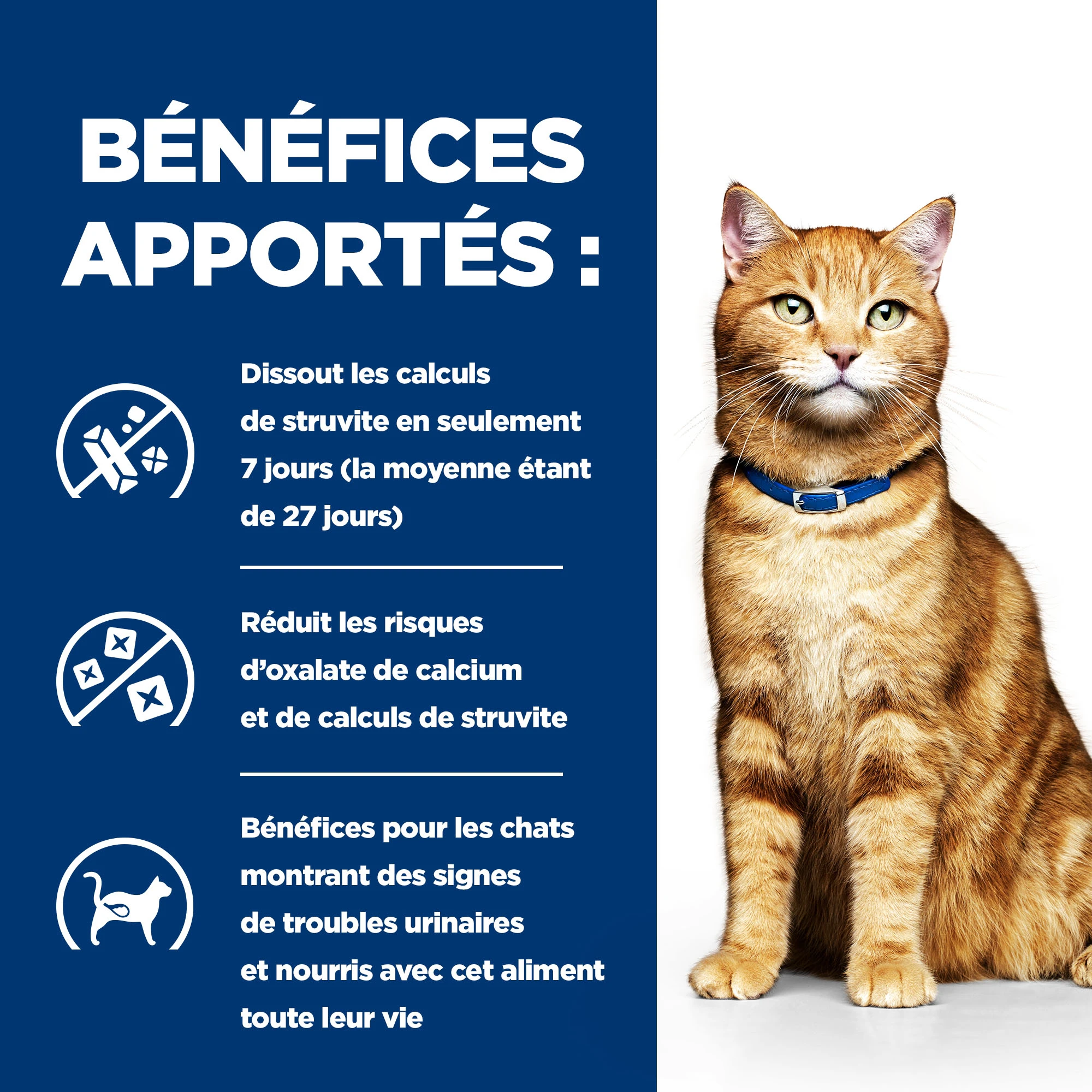 Hill's c/d Multicare - Prescription Diet - Félin - Mousse