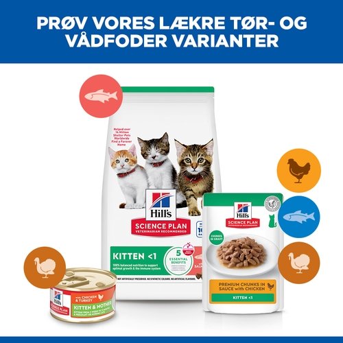 Hill's Science Plan - Kitten - Salmon
