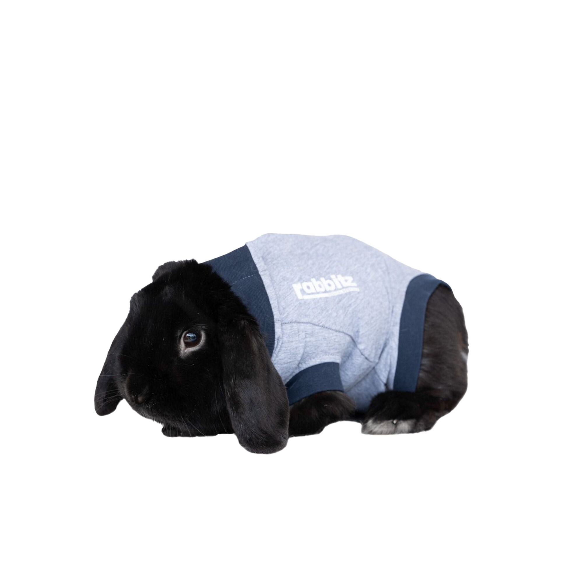 Jacketz Medical Body Suit für Kaninchen - 2XS